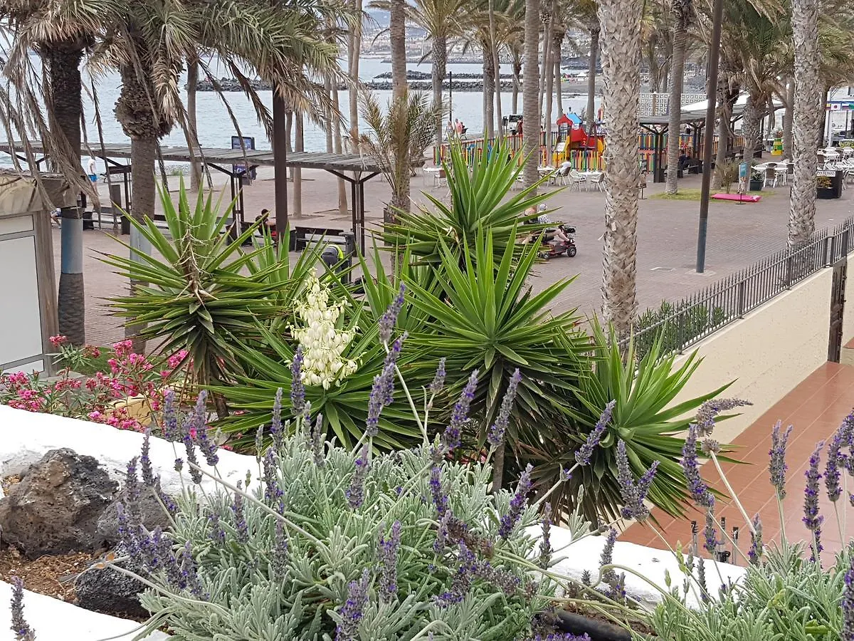 Vila Lavanda Playa de las Americas