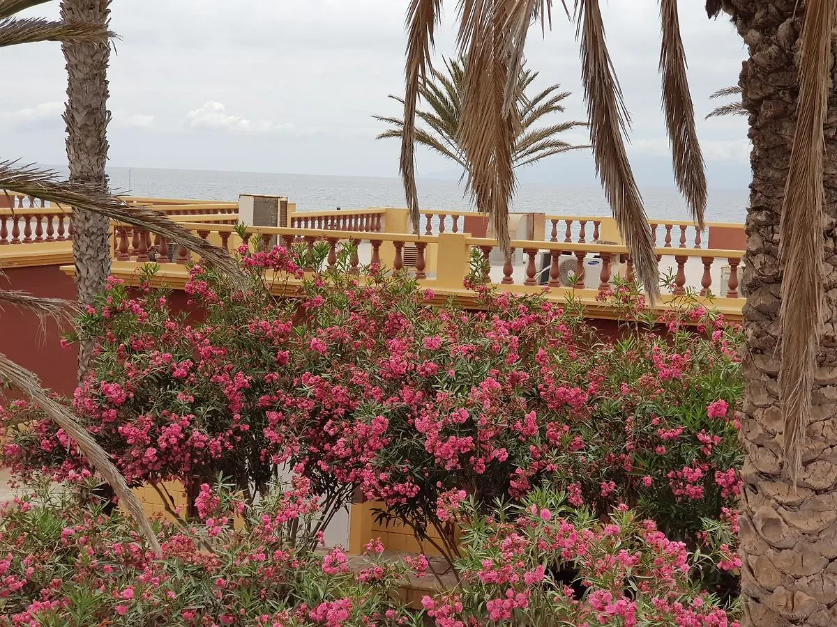 Vila Lavanda Playa de las Americas  3*, Playa de las Americas (Tenerife) Spain