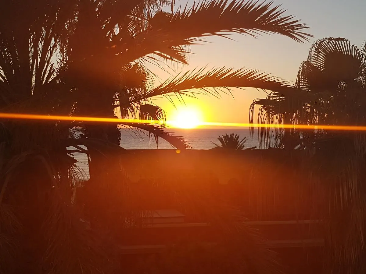 *** Aparthotel Vila Lavanda Playa de las Americas  Spain